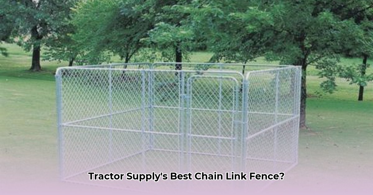 chain-link-fencing-at-tractor-supply